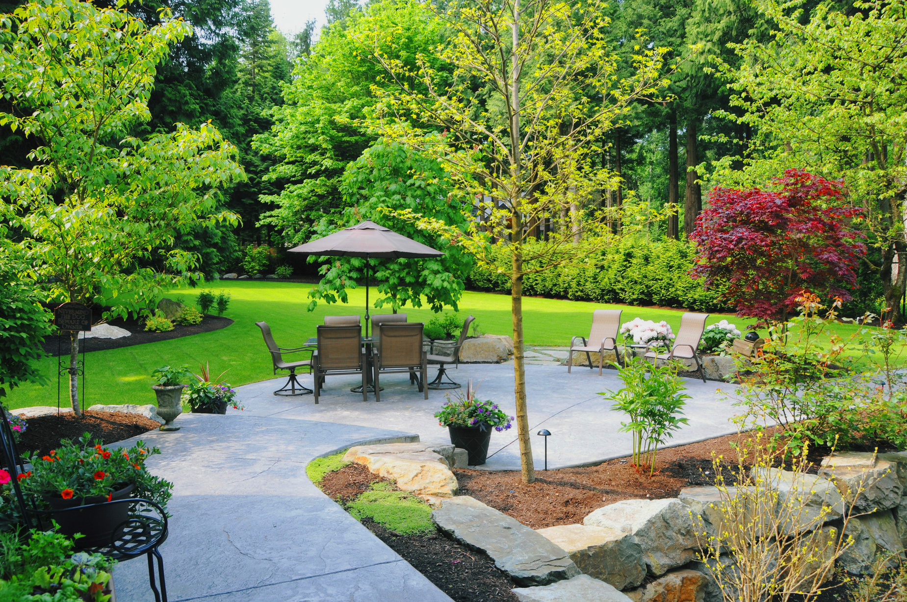 Landscaped Back Yard